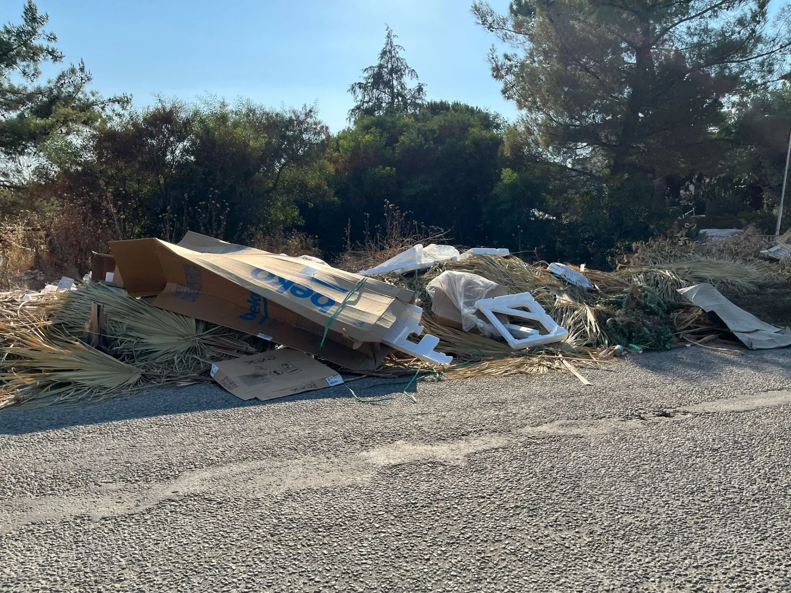 Aydın Didim Akbük sahilinde yaz aylarında yaşanan çöp sorunu ve çevre kirliliği.