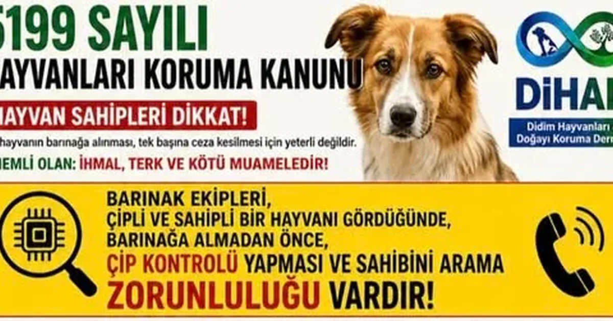 Akbük'te hayvan hakları ve belediyeye yapılan can suyu çağrısı görseli.