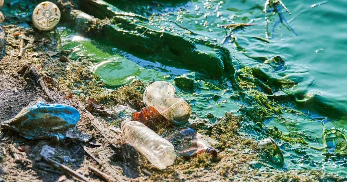 Akbük Körfezi deniz kirliliği ve plastik atıkların ekosisteme zararları.