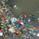 The Silent Threat of Marine Pollution