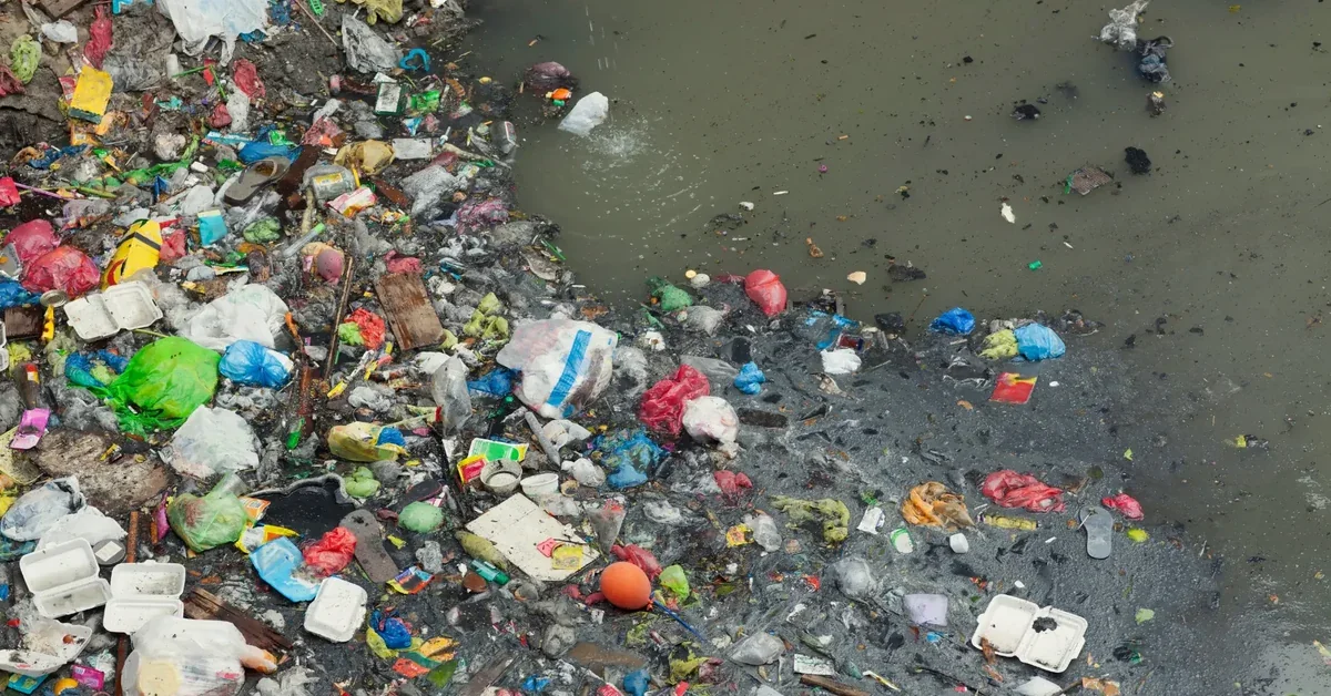 Didim Akbük Koyu'nda deniz kirliliği ve çevre kirliliği tehdidi.