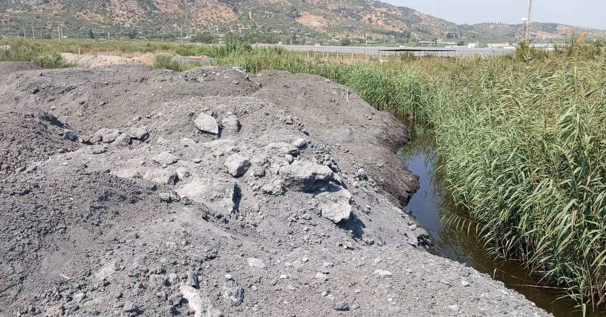 Akbük Latmos Dağları'nda Batı Kipaş kül depolama projesinin tehdit ettiği ormanlık alan.