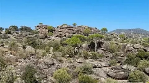 Maden projesi tehdidi altındaki Akbük Beşparmak Latmos Dağları ve zeytinlikler.