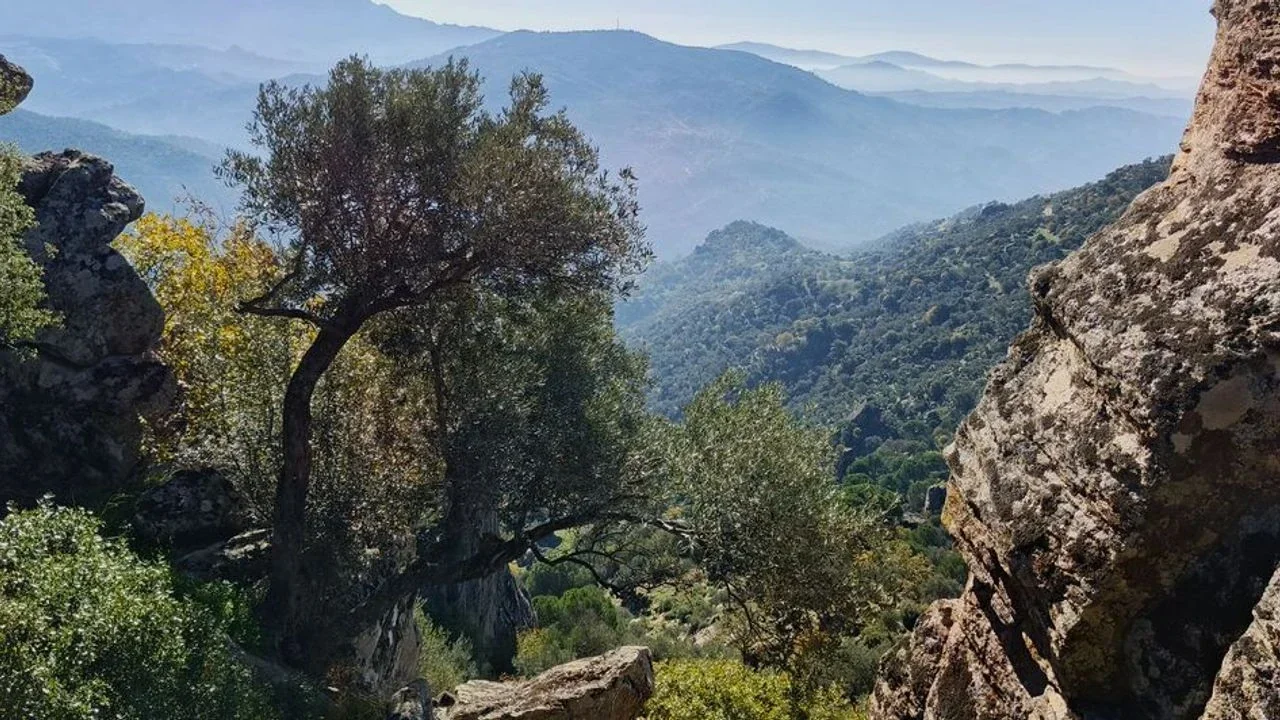 Akbük Latmos doğası ve Vedo'nun kül depolama tesisi haber detayları.