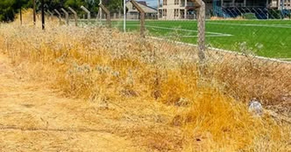 Aydın Didim Akbük Stadyumu çevresindeki bakımsızlık ve kuruyan otlar
