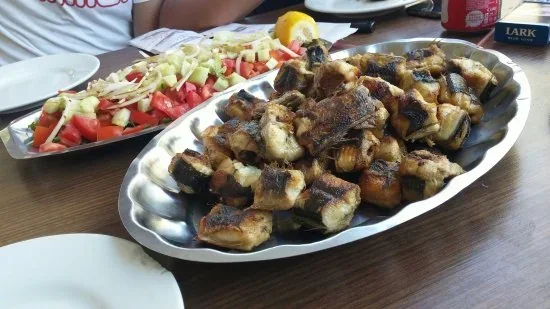 Bafa Gölü ve Didim Akbük çevresinde yaşayan Avrupa yılan balığı göçü