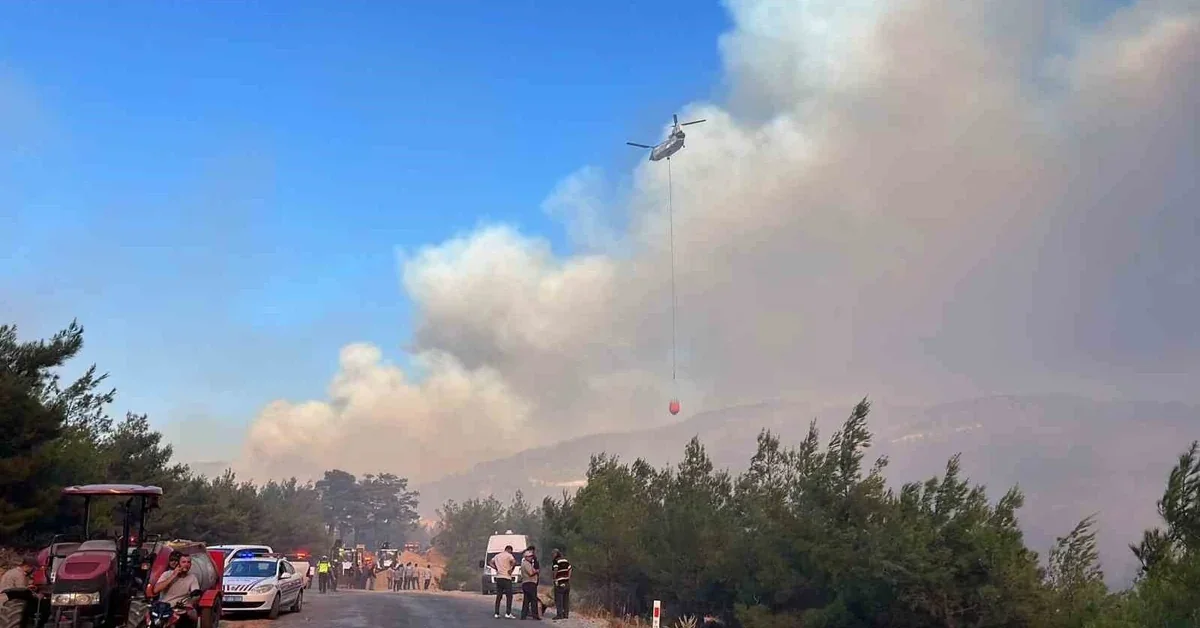 Aydın Çine ve Akbük yakınlarındaki orman yangını ve müdahale çalışmaları