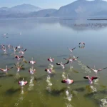 Have You Explored Lake Bafa? A Hidden Paradise Just Minutes from Akbük
