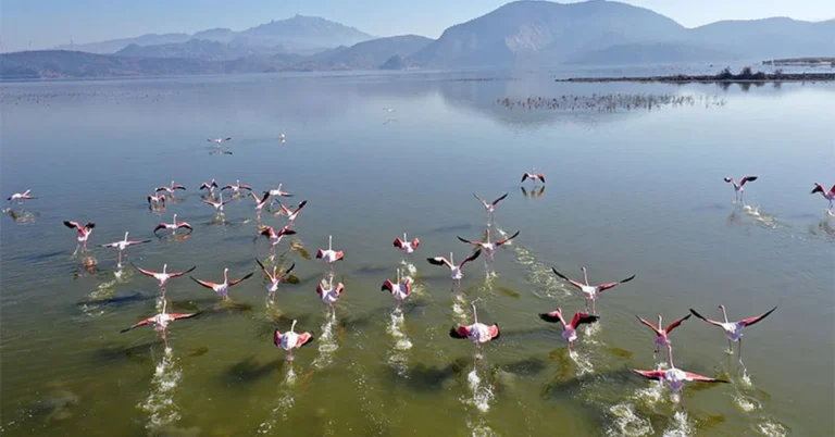 Have You Explored Lake Bafa? A Hidden Paradise Just Minutes from Akbük