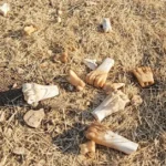 Didim Animal Welfare Scandal: What is Really Happening at the Municipal Animal Cemetery?