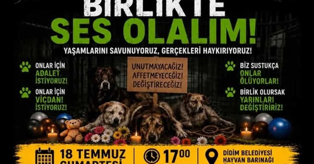 Didim Belediyesi Hayvan Barınağı önünde Akbük sakinlerinin protestosu.