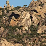 Can We Save Latmos? The Shocking Plan to Fell 12,000 Trees Near Akbük