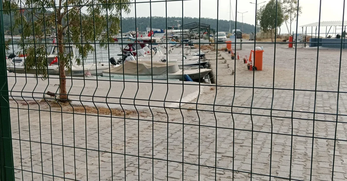Aydın Didim Akbük Balıkçı Barınağı ve limanda demirli tekneler