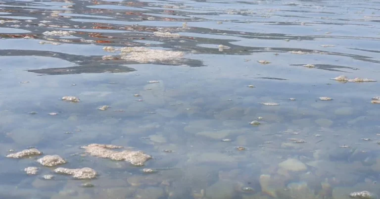 Akbük’s Troubled Waters: Sewage Incident Sparks Alarm Among Expats