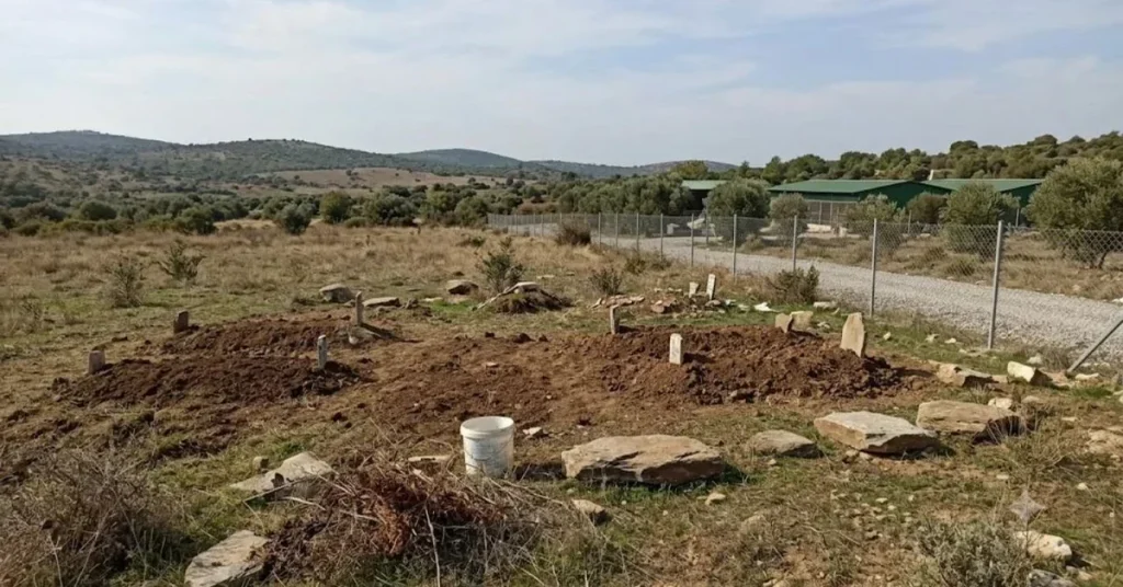 Didim’in Mama Tesisi: Sokaklar Neden Boş, Canlar Nerede?