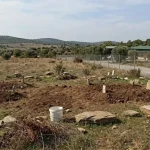 Didim’in Mama Tesisi: Sokaklar Neden Boş, Canlar Nerede?