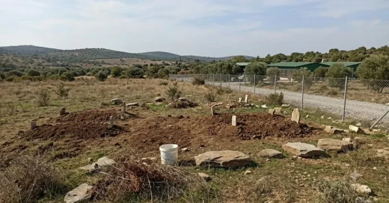 Didim’in Mama Tesisi: Sokaklar Neden Boş, Canlar Nerede?