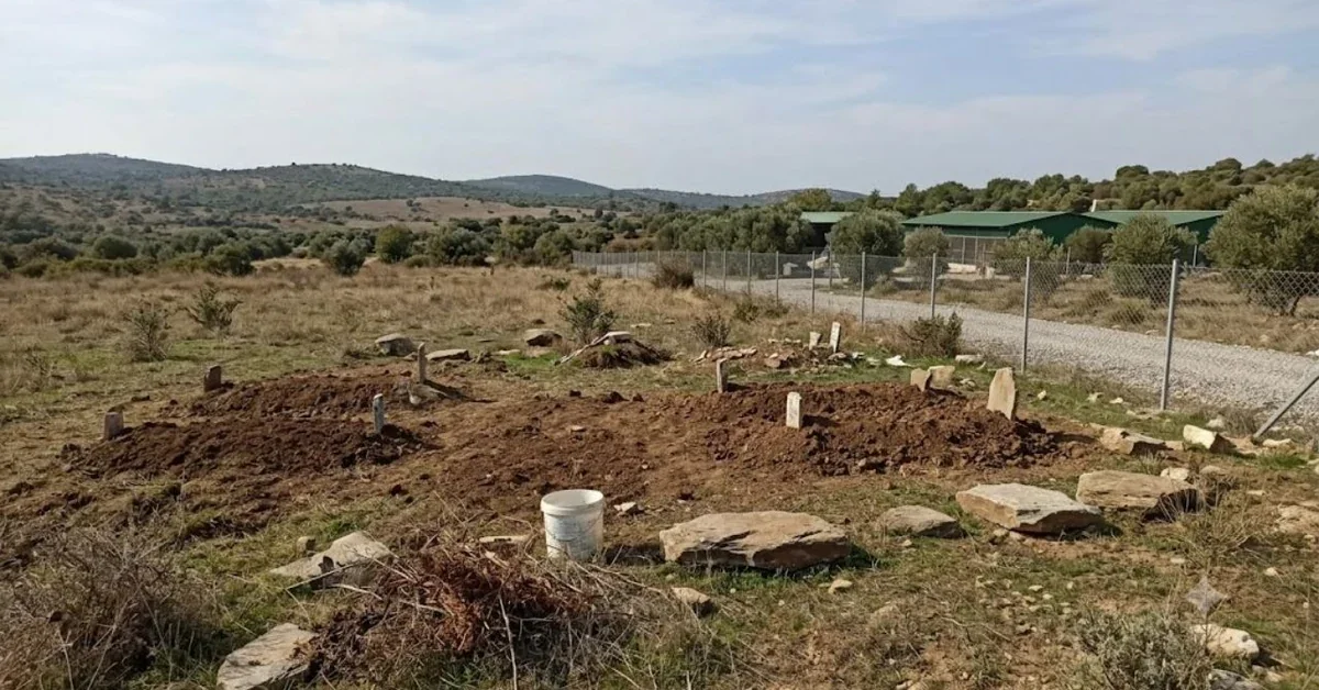 Didim Belediyesi sokak hayvanları mama üretim tesisi işletme onayı