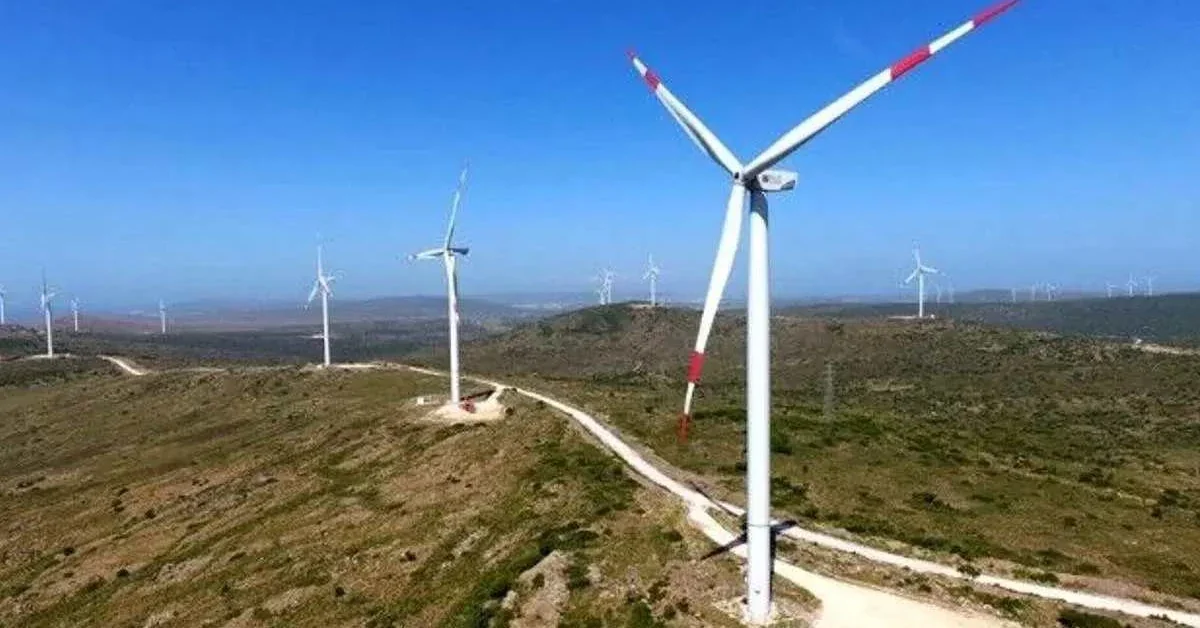 Akbük Latmos Dağı RES projesine karşı Vedo'nun doğa nöbeti çağrısı