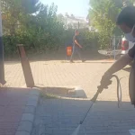 Pest Control Measures Underway in Didim and Akbük