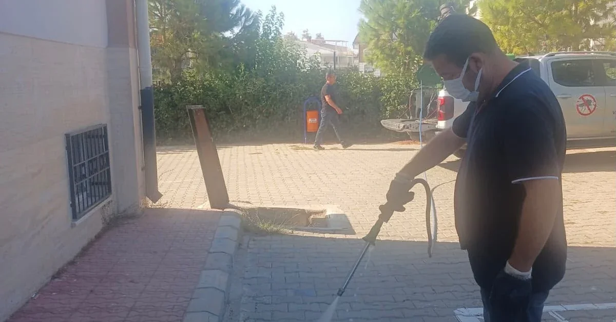 Didim ve Akbük genelinde belediye ekiplerinin haşere ilaçlama çalışmaları